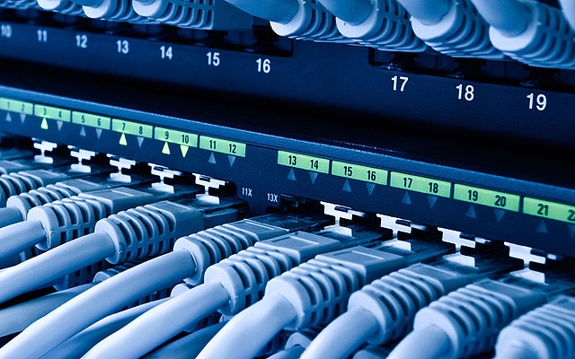 Cabos de rede conectados a switch